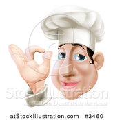 Vector Illustration of a Chubby Chef Gesturing Ok by AtStockIllustration