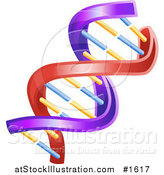 Vector Illustration of a Colorful Red, Purple, Orange and Blue Twisting DNA Helix by AtStockIllustration