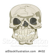 Vector Illustration of a Cracked Human Skull by AtStockIllustration