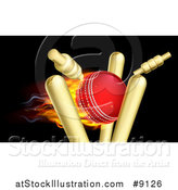 Vector Illustration of a Cricket Ball Breaking Wicket Stumps on Black by AtStockIllustration