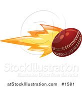 Vector Illustration of a Cricket Ball on Fire by AtStockIllustration