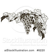 Vector Illustration of a Dark Grapes and Leaves Border by AtStockIllustration