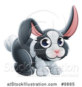 Vector Illustration of a Dutch Bunny Rabbit by AtStockIllustration