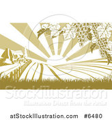 Vector Illustration of a Farm House and Rolling Hills with Winery Grape Vines and Sun Rays in Green and White by AtStockIllustration