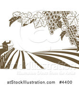 Vector Illustration of a Farm House and Rolling Hills with Winery Grape Vines in Brown and White by AtStockIllustration