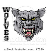 Vector Illustration of a Ferocious Gray Wolf Mascot Head and Text by AtStockIllustration