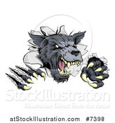 Vector Illustration of a Ferocious Gray Wolf Slashing Through a Wall by AtStockIllustration