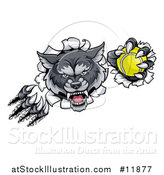 Vector Illustration of a Ferocious Gray Wolf Slashing Through a Wall with a Tennis Ball by AtStockIllustration
