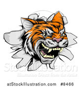 Vector Illustration of a Ferocious Tiger Mascot Head Breaking Through a Wall by AtStockIllustration
