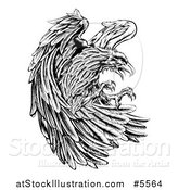 Vector Illustration of a Fierce Black and White Eagle Attacking by AtStockIllustration