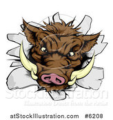 Vector Illustration of a Fierce Brown Boar Head Breaking Through a Wall by AtStockIllustration