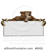 Vector Illustration of a Fierce Buff Muscular Grizzly Bear Man Holding a Blank Sign by AtStockIllustration