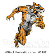 Vector Illustration of a Fierce Muscular Running Tiger Mascot by AtStockIllustration