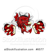 Vector Illustration of a Fierce Red Welsh Dragon Mascot Breaking Through a Wall by AtStockIllustration