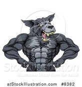 Vector Illustration of a Firece Muscular Gray Wolf Man Mascot Flexing, from the Waist up by AtStockIllustration
