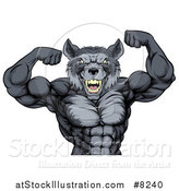 Vector Illustration of a Firece Muscular Gray Wolf Man Mascot Flexing His Muscles, from the Waist up by AtStockIllustration
