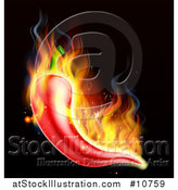 Vector Illustration of a Flaming Red Chile Pepper over Black by AtStockIllustration