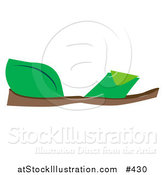 Vector Illustration of a Flat Green Sandals by AtStockIllustration