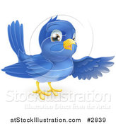 Vector Illustration of a Friendly Bluebird Presenting or Pointing with a Wing by AtStockIllustration