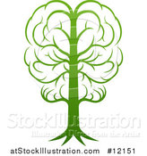 Vector Illustration of a Gradient Green Brain Tree by AtStockIllustration