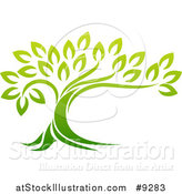 Vector Illustration of a Gradient Green Mature Tree with a Curving Trunk by AtStockIllustration