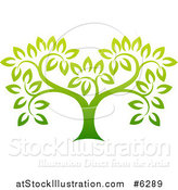 Vector Illustration of a Gradient Green Tree by AtStockIllustration