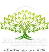 Vector Illustration of a Gradient Mature Green Tree by AtStockIllustration