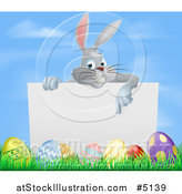 Vector Illustration of a Gray Bunny Pointing down to a Sign with Grass and Easter Eggs by AtStockIllustration