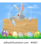 Vector Illustration of a Gray Bunny Pointing down to a Wood Sign with Grass and Easter Eggs by AtStockIllustration