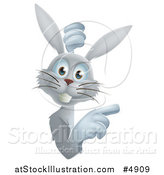 Vector Illustration of a Gray Bunny Rabbit Looking Around and Pointing to a Sign by AtStockIllustration