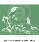 Vector Illustration of a Green and White Floral Background by AtStockIllustration