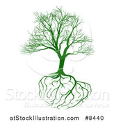 Vector Illustration of a Green Bare Tree with Brain Roots by AtStockIllustration