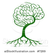 Vector Illustration of a Green Brain Tree and a Roots by AtStockIllustration