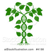 Vector Illustration of a Green DNA Double Helix Plant by AtStockIllustration
