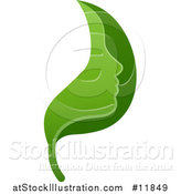 Vector Illustration of a Green Leaf Face by AtStockIllustration