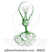 Vector Illustration of a Green Lightbulb Tree with Roots Shaping a Brain by AtStockIllustration