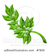 Vector Illustration of a Green Olive Branch with Tiny Fruits, Symbolizing Peace by AtStockIllustration