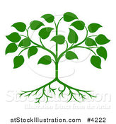 Vector Illustration of a Green Seedling Tree with Leaves and Roots by AtStockIllustration