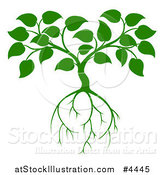 Vector Illustration of a Green Seedling Tree with Leaves and Roots by AtStockIllustration