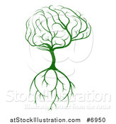 Vector Illustration of a Green Tree with a Big Brain Canopy and Roots by AtStockIllustration