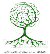 Vector Illustration of a Green Tree with a Brain Canopy and Roots by AtStockIllustration