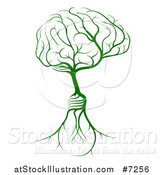 Vector Illustration of a Green Tree with Light Bulb Roots and a Brain Canopy by AtStockIllustration