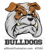 Vector Illustration of a Growling Aggressive Bulldog Mascot Face over Text by AtStockIllustration