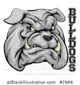 Vector Illustration of a Growling Gray Aggressive Bulldog Mascot Face with Text by AtStockIllustration