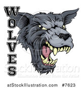 Vector Illustration of a Growling Gray Wolf Mascot Head and Text by AtStockIllustration