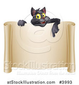 Vector Illustration of a Happy Black Cat Pointing down over a Scroll Sign by AtStockIllustration