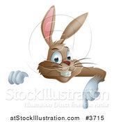 Vector Illustration of a Happy Brown Bunny over a Sign, Pointing down by AtStockIllustration