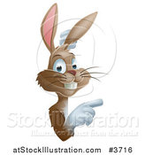 Vector Illustration of a Happy Brown Bunny Pointing to a Sign by AtStockIllustration
