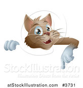 Vector Illustration of a Happy Brown Cat Pointing down at a Sign by AtStockIllustration