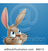 Vector Illustration of a Happy Brown Easter Bunny Rabbit Looking up to Text Space on Blue by AtStockIllustration